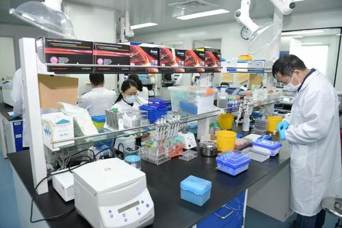 上海科技黨建全力以赴 爭分奪秒加強科技攻關(guān)